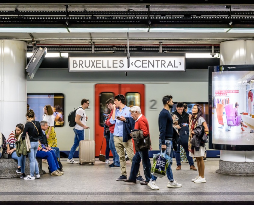 Data intelligence offers dynamic insights that guide investment strategy