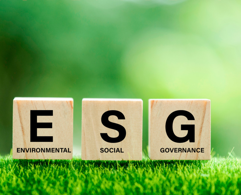 Decarbonisation promoted to an investment priority